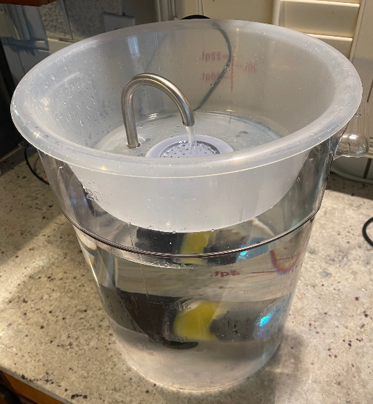 Freedom Fountain sitting on counter